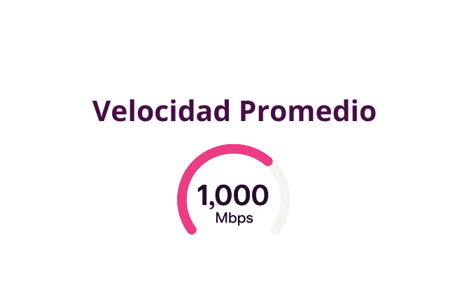 Landing Page etiqueta grande